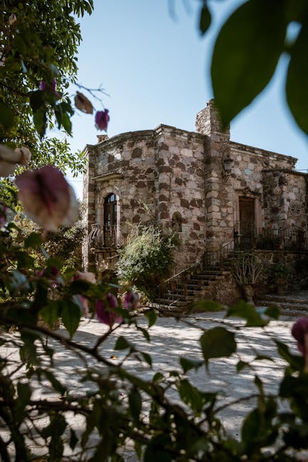 Les façades oubliées : petites églises autour de la cathédrale